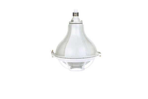 云顶国际BGL200S系列增安型防爆防腐灯(e)