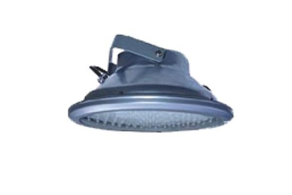 云顶国际NXE9410A固态应急标识灯